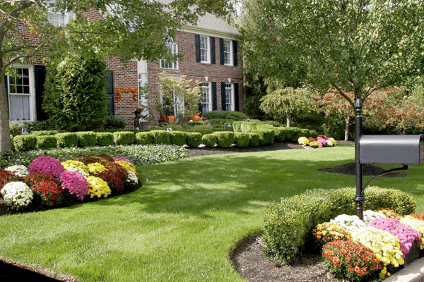 A landscaped home